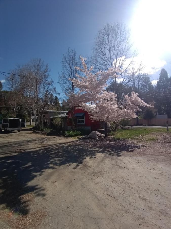 Bigfoot Rv & Cabins Park Happy Camp Bagian luar foto