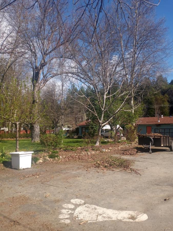 Bigfoot Rv & Cabins Park Happy Camp Bagian luar foto